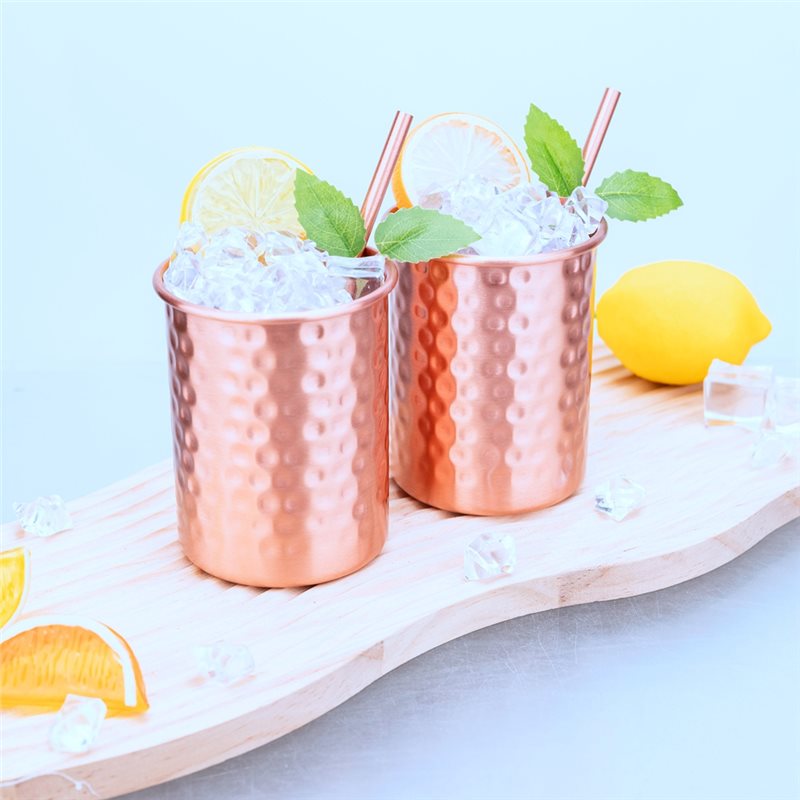 ABLU-2PC 400Ml Copper Color St - Copper Cocktail Mug review and price