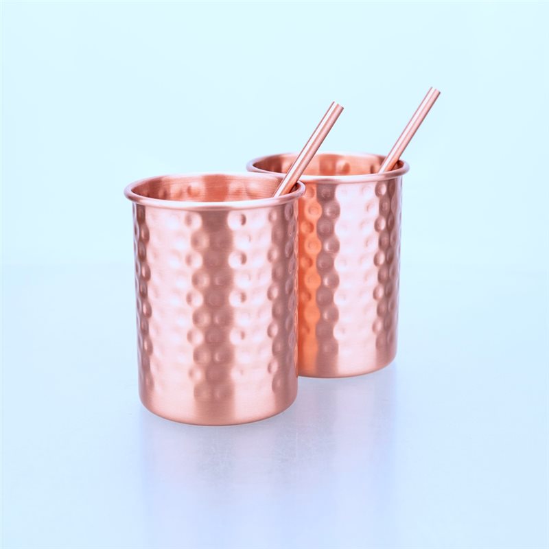ABLU-2PC 400Ml Copper Color St - Copper Cocktail Mug review and price